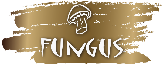 Fungus Camisas